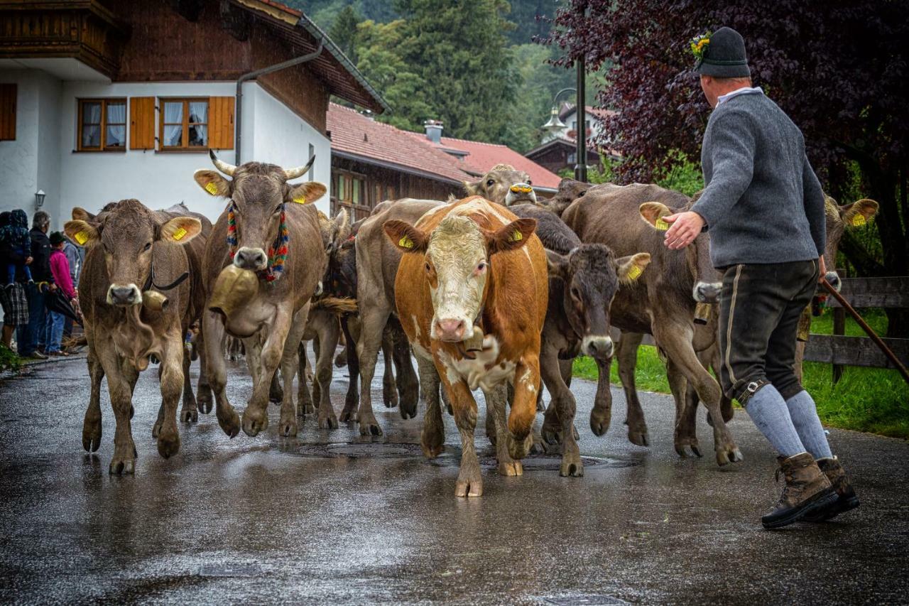 Ferienwohnung Zobl Fussen Luaran gambar
